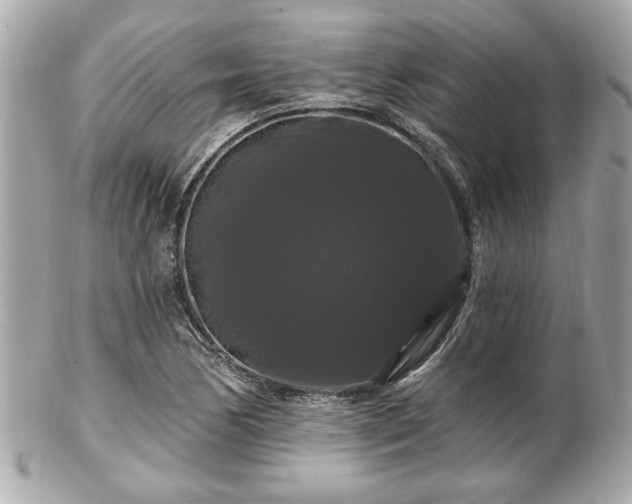 X0000102491170200808151449