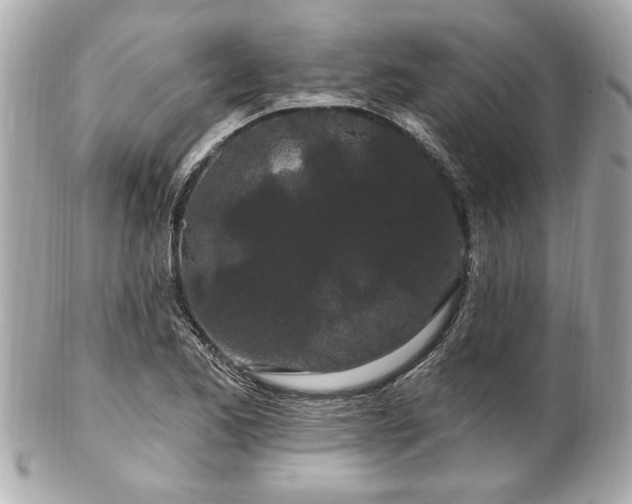 X0000102491173200808151449