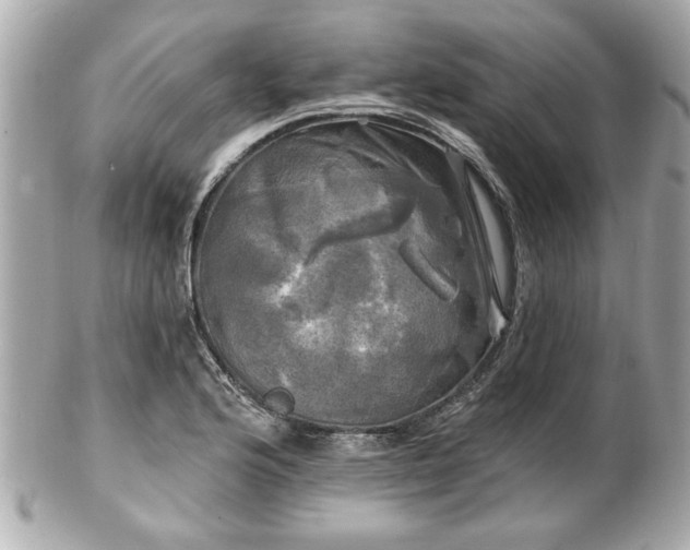 X0000102491176200808151449