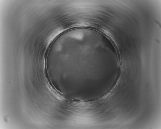 X0000102491179200808151449