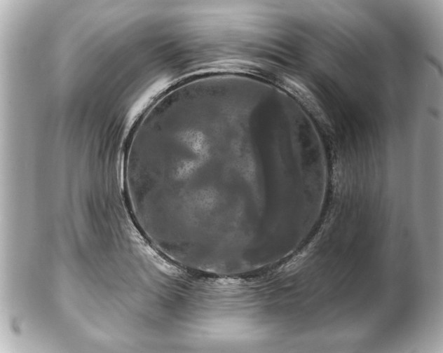 X0000102491180200808151449