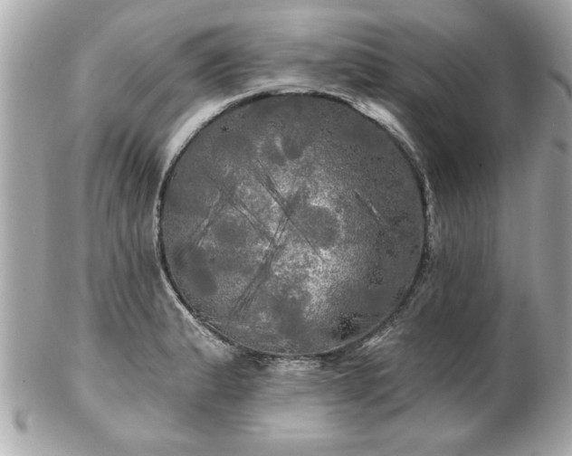X0000102491183200808151448