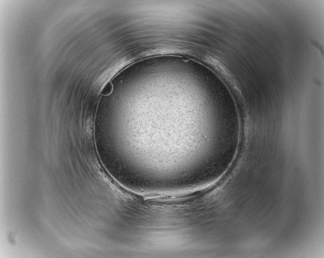 X0000102491185200808151448