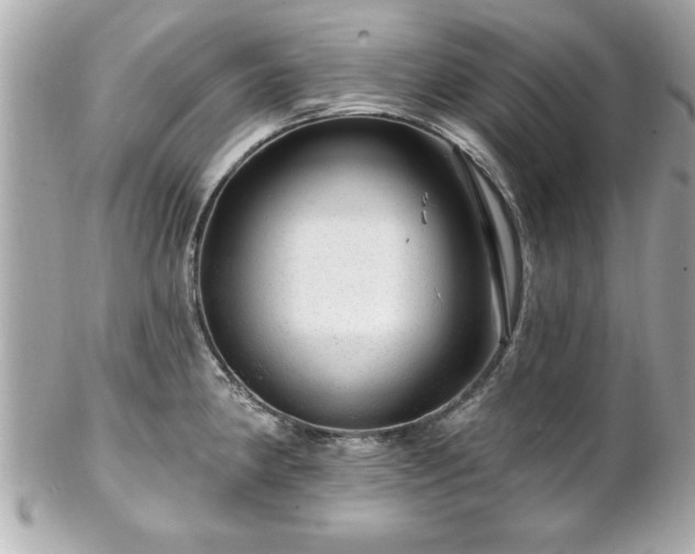 X0000102491190200808151448