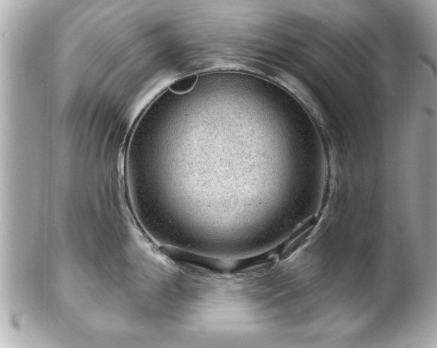 X0000102491198200808151448