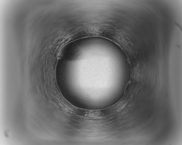 X0000102491201200808151448