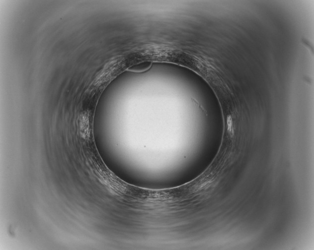 X0000102491203200808151448