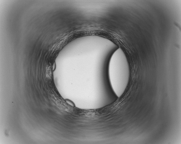 X0000102491204200808151448