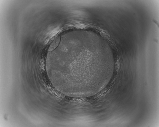 X0000102491205200808151448