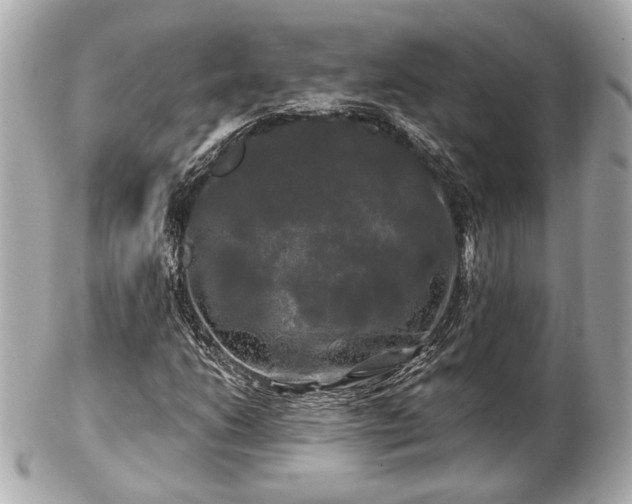 X0000102491206200808151448