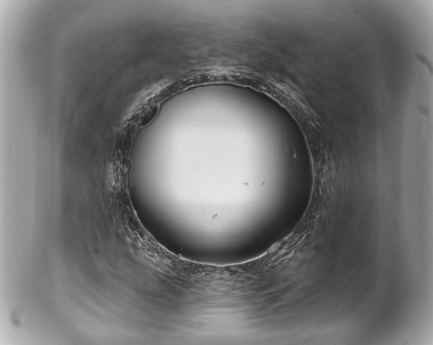 X0000102491207200808151448