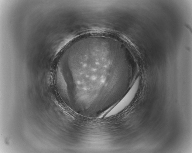 X0000102491208200808151448