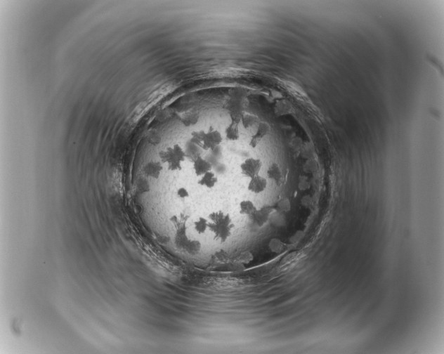 X0000102491209200808151448