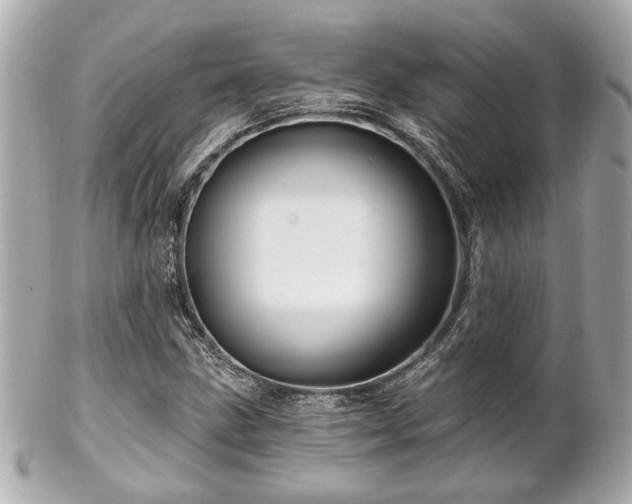 X0000102491211200808151448