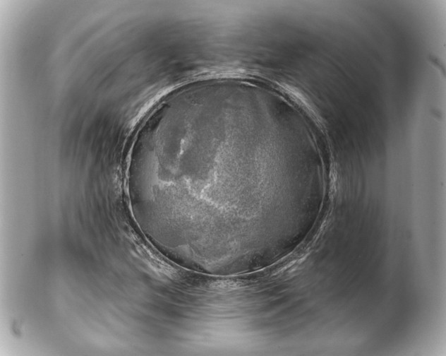 X0000102491212200808151448