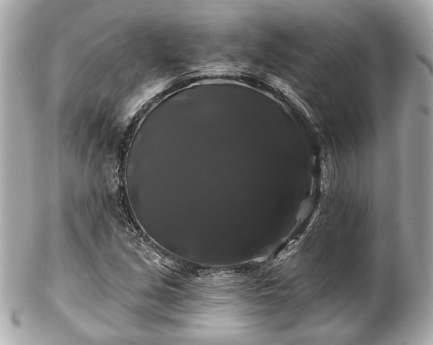 X0000102491213200808151448