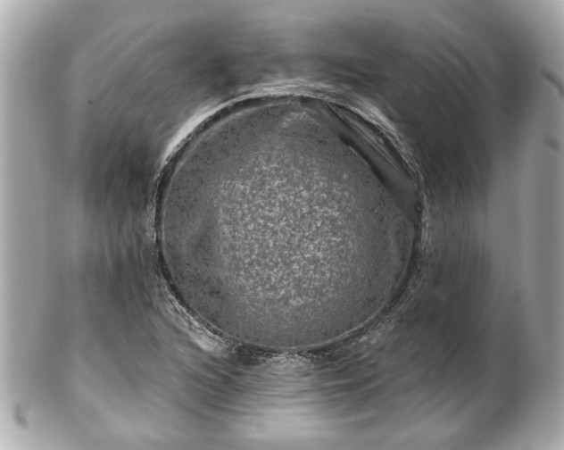 X0000102491216200808151448