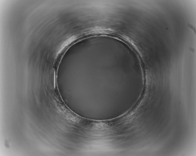 X0000102491219200808151448