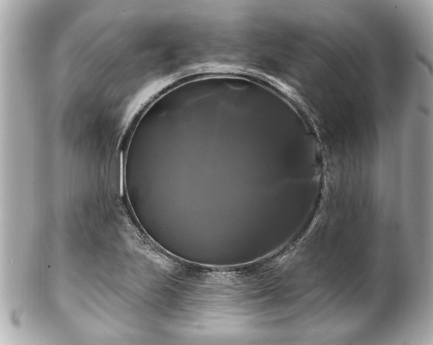 X0000102491223200808151448