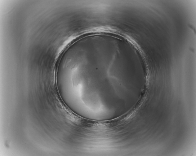 X0000102491224200808151448