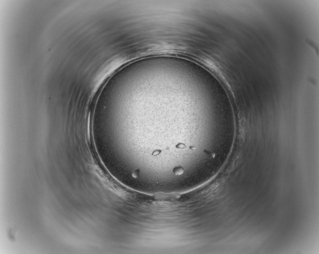 X0000102491227200808151448