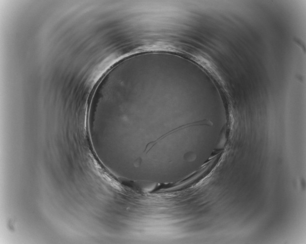 X0000102491228200808151448