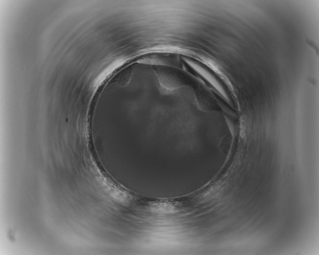 X0000102491229200808151448