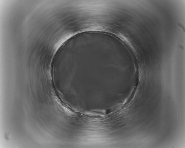 X0000102491230200808151448