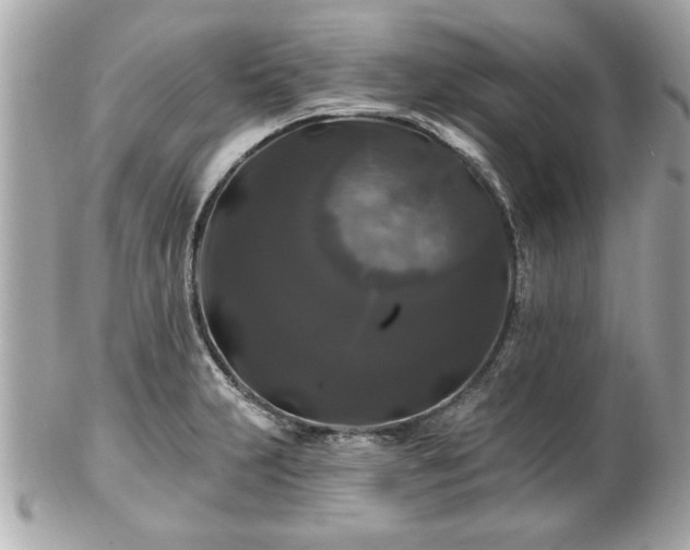 X0000102491231200808151448