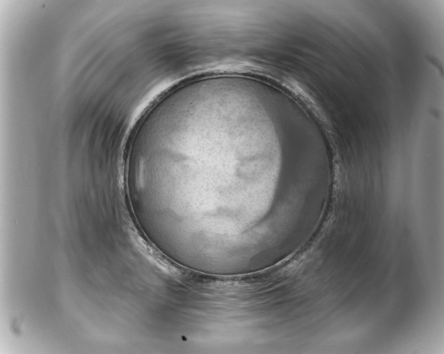 X0000102491232200808151448