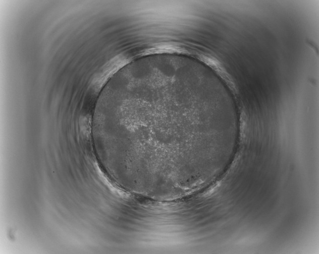 X0000102491233200808151448