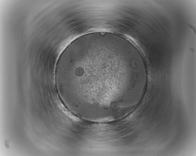 X0000102491236200808151448