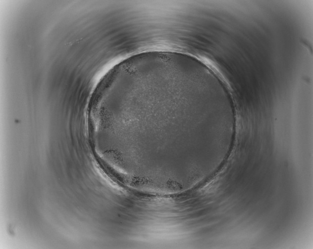 X0000102491238200808151448