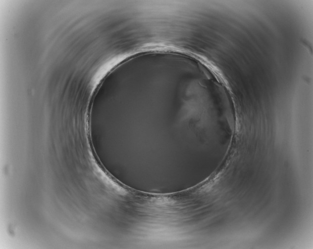 X0000102491239200808151448