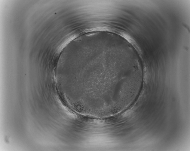 X0000102491241200808151448