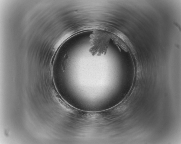 X0000102491242200808151448