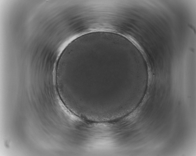 X0000102491246200808151448