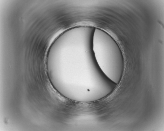 X0000102491248200808151448