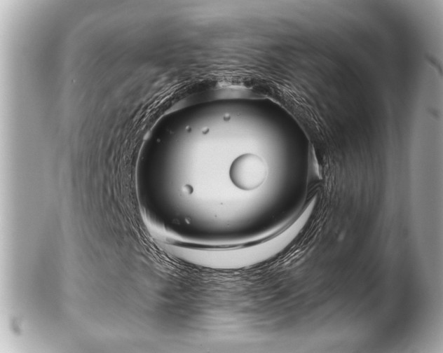 X0000102491249200808151447