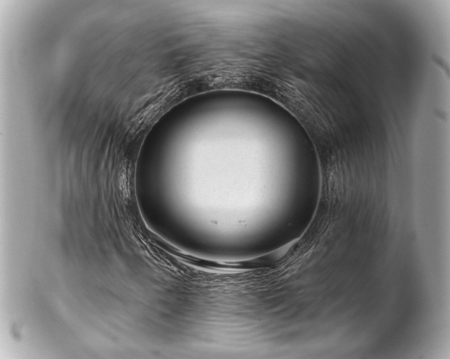 X0000102491250200808151447