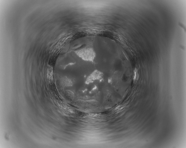 X0000102491251200808151447