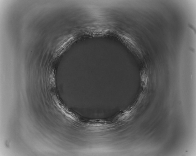 X0000102491252200808151447