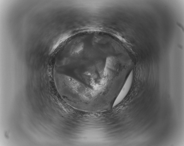 X0000102491255200808151447