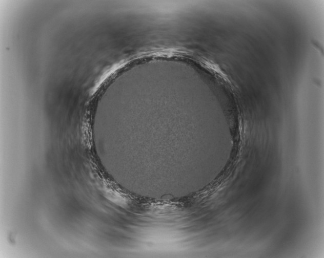 X0000102491256200808151447