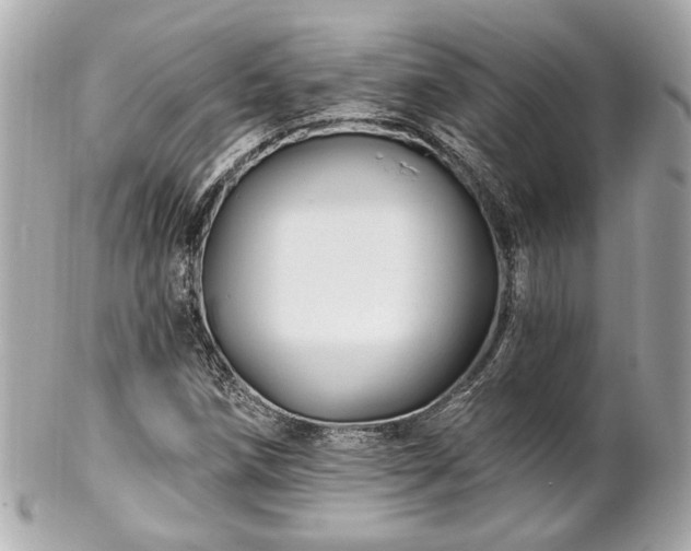 X0000102491258200808151447