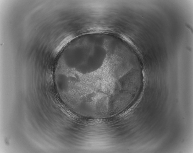 X0000102491259200808151447