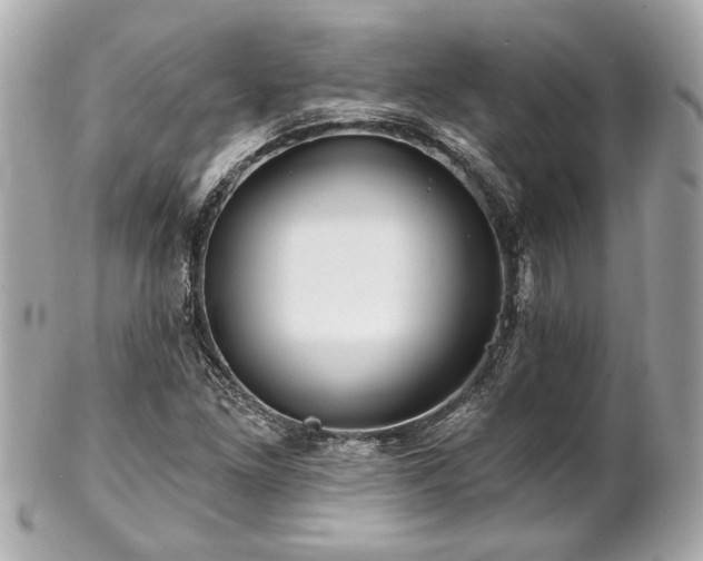 X0000102491261200808151447