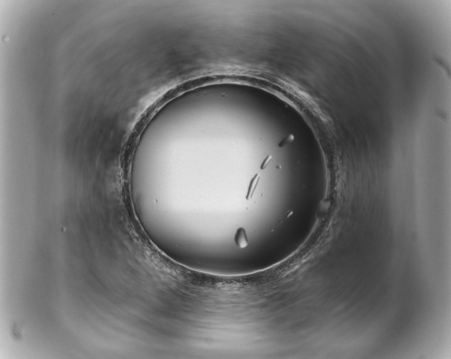 X0000102491264200808151447