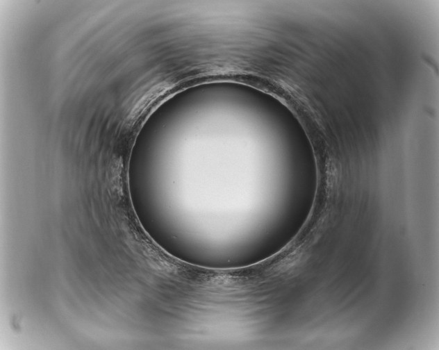 X0000102491265200808151447