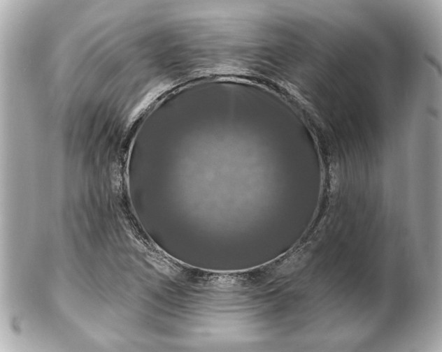 X0000102491266200808151447